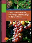 Farbatlas Krankheiten, Schädlinge und nützlinge an der Weinrebe - náhled