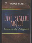 Diví a šialení anjeli - náhled