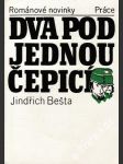 Dva pod jednou čepicí - náhled