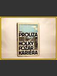 Holky, požár, kariéra  - náhled