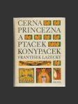 Černá princezna a ptáček konypáček - náhled