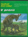 V prérii - náhled