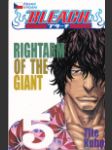 Bleach 05 - Rightarm of the Giant - náhled