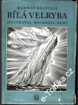 Bílá velryba - náhled