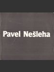 Pavel Nešleha - náhled