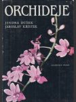 Orchideje - náhled