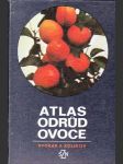 Atlas odrůd ovoce - náhled