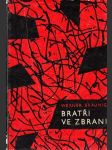 Bratři ve zbrani - náhled