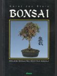 Bonsai - náhled