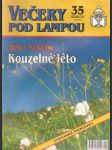 Večery pod lampou 35/1997 Kouzelné léto - náhled