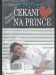 Čekání na prince - náhled