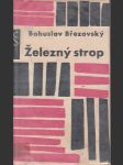 Železný strop - náhled