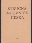 Stručná mluvnice česká - náhled