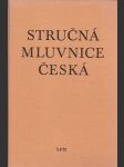 Stručná mluvnice česká - náhled