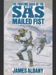 Sas mailed fist - náhled