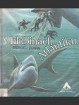 V hlubinách Atlantiku - náhled