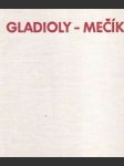 Gladioly - Mečíky - náhled