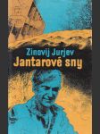 Jantarové sny - náhled