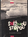 Sněžnou stopou - náhled