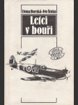 Letci v bouři - náhled