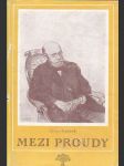 Mezi proudy III - náhled