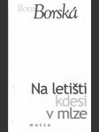 Na letišti kdesi v mlze - náhled