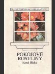 Pokojové rostliny - náhled