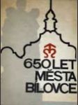 650 let města bílovce - náhled