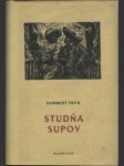 Studňa supov - náhled