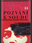 Pozvání k soudu  - náhled