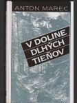 V doline dlhých tieňov - náhled