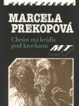 Chrúst má krídla pod krovkami - náhled