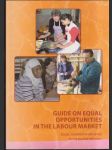 Guide on equal opportunities - náhled