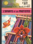 L´ophrys et les Protistes - náhled