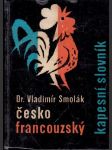 Česko francouzský kapesní slovník - náhled