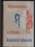 Francouzsko-český a česko francouzský kapesní slovník - náhled