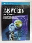 MS Word 6 pro Windows - náhled