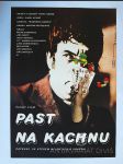 Past na kachnu - náhled