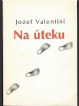 Na úteku valentini (s venovaním a podpisom autora) - náhled