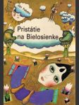 Pristátie na Bielosienke (veľký formát) - náhled