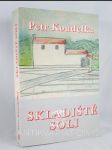 Skladiště soli - náhled