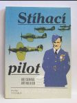 Stíhací pilot - náhled