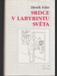 Srdce v labyrintu světa - náhled