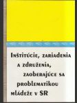 Inštitúcie, zariadenia a združenia zaoberajúce sa problematikou mládeže - náhled