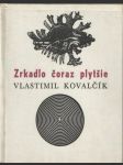 Zrkadlo čoraz plytšie - náhled