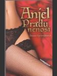 Anjel Pradu nenosí - náhled