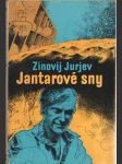 Jantarové sny - náhled