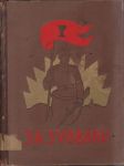 Za svobodu I.-část I.- Česká družina 1914-1916, část II. Československá brigáda 1916-1917 - náhled