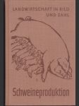 Schweineproduktion Landwirtschaft in Bild und Zahl - náhled