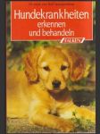 Hundekrankheiten erkennen und behandeln - náhled